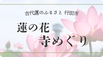 古代蓮のふるさと行田市　蓮の花寺めぐり